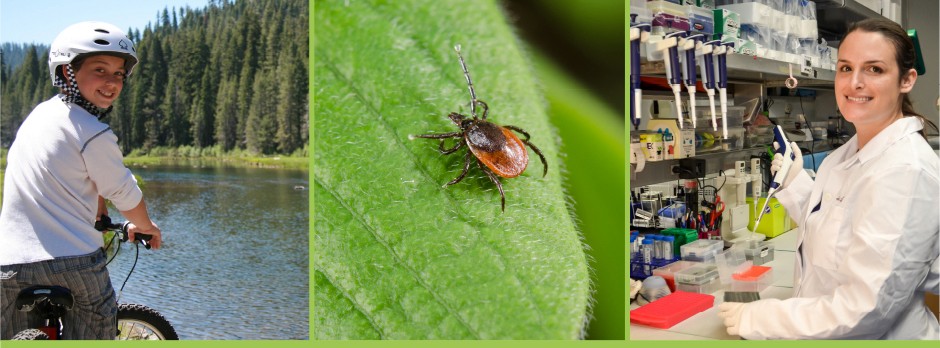 Bay Area Lyme Foundation