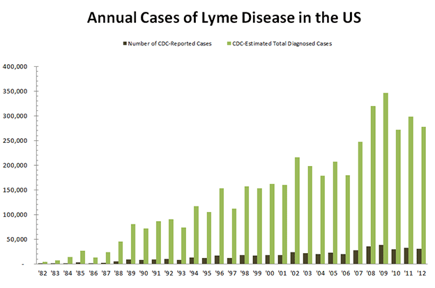 Lyme Disease Chart