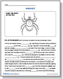 Parts of a Tick Worksheet