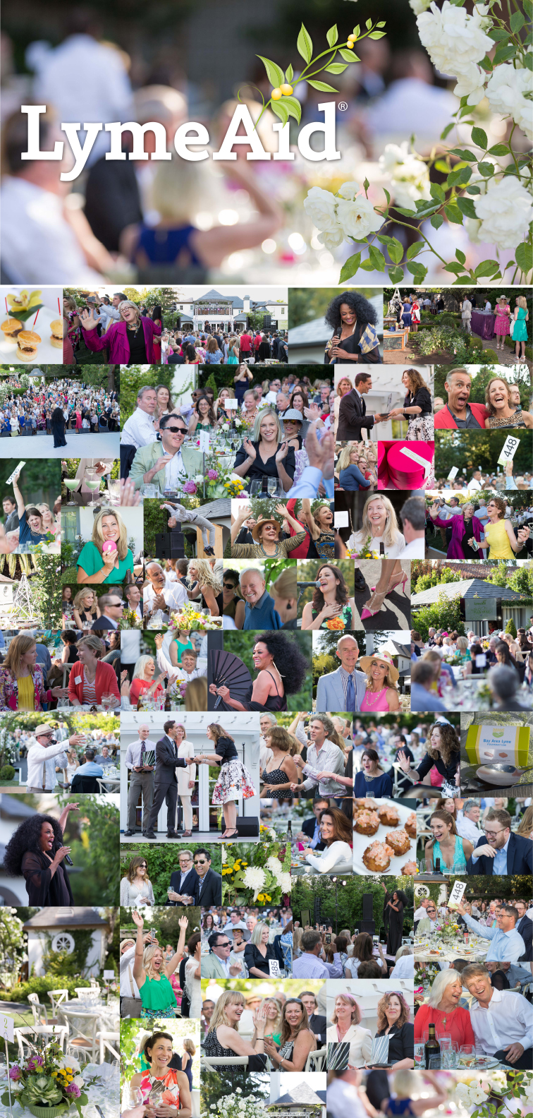 LymeAid 2016 collage