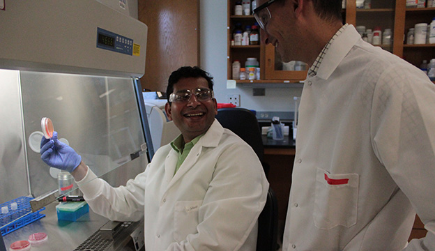 Dr. Beisel (right) and Dr. Atul Singh (left) discussing an ongoing experiment with Borrelia. Photo credit: Ryan Leenay.