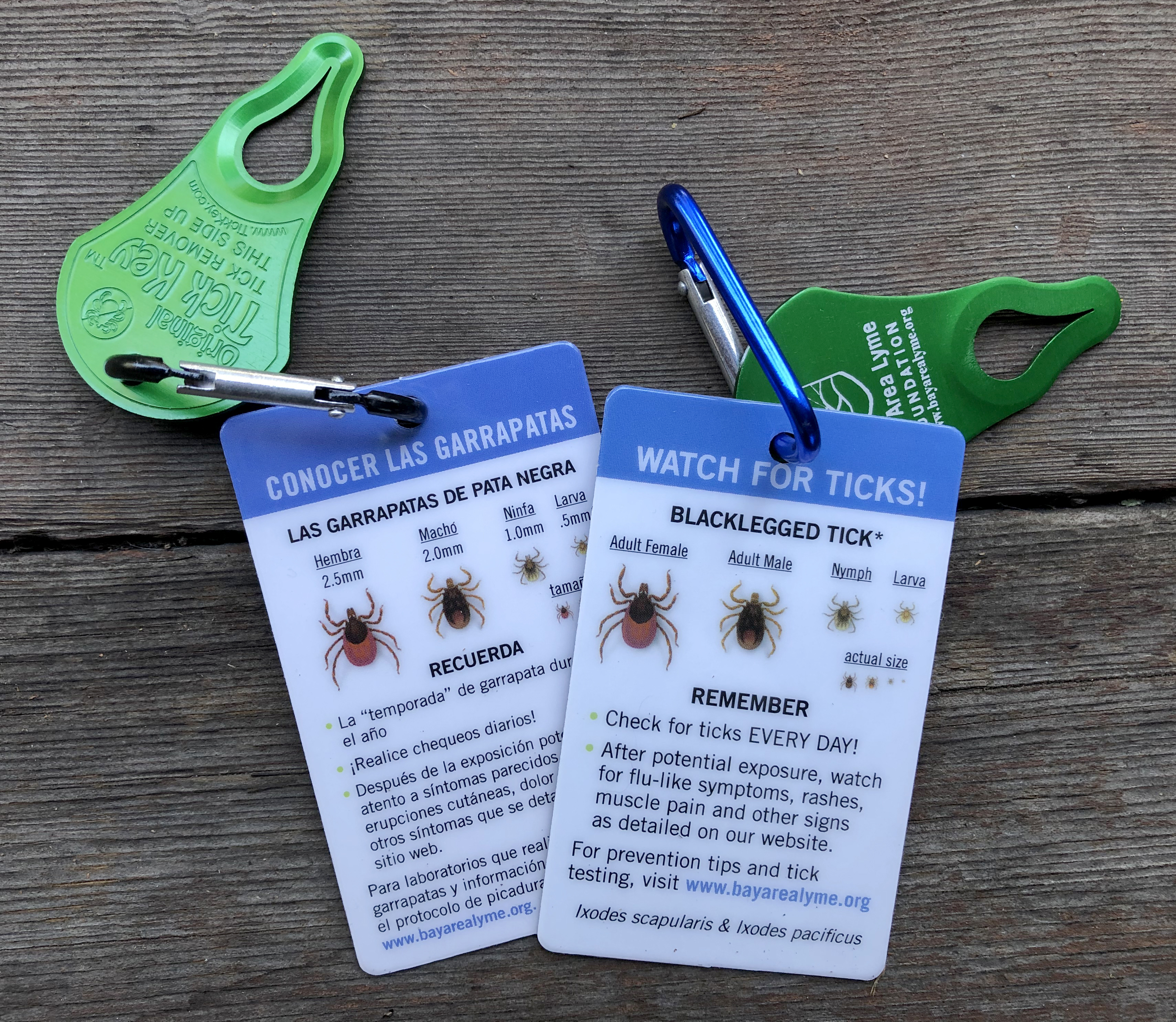 Tick Keys Bay Area Lyme Foundation