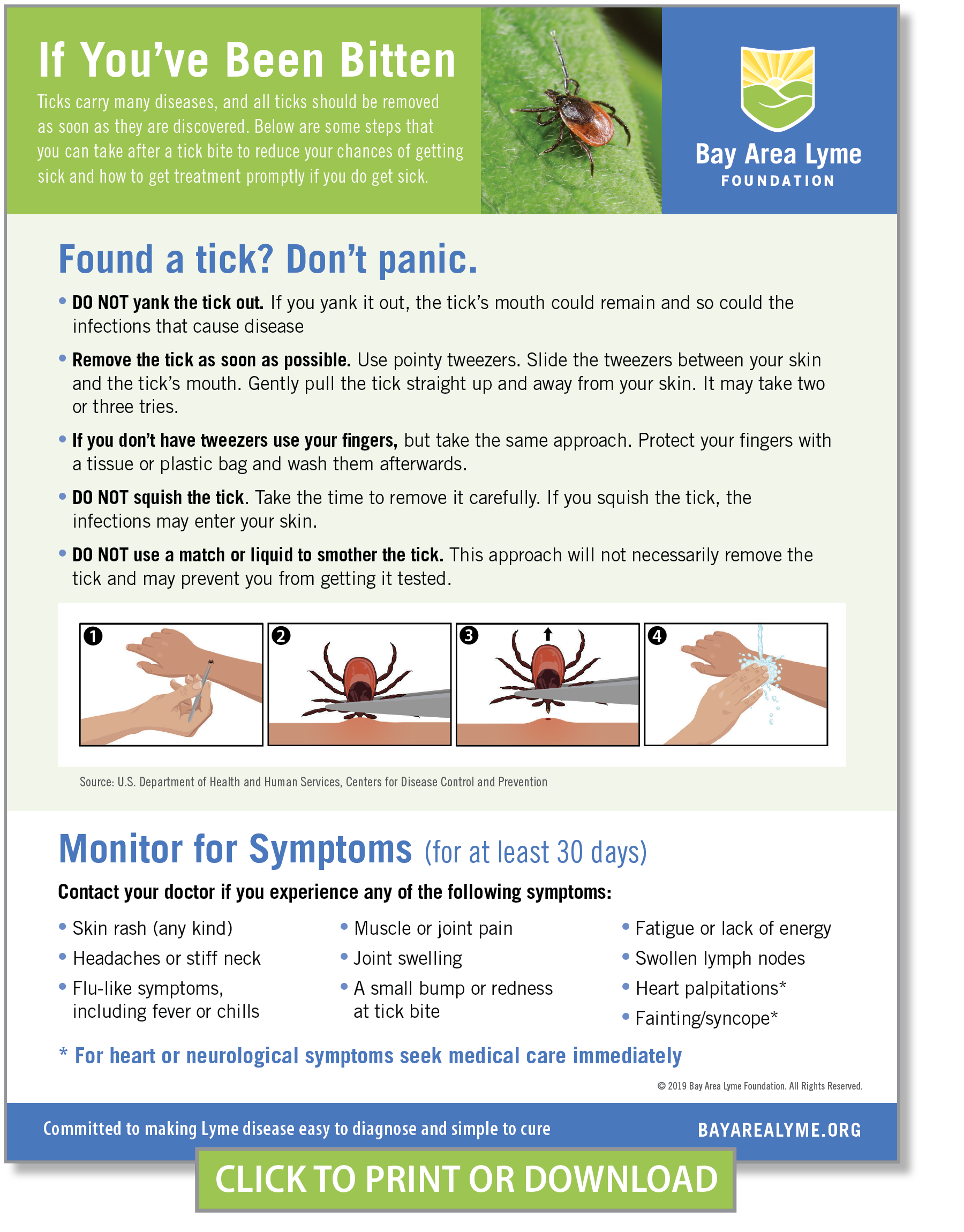 How to Remove a Tick  Bay Area Lyme Foundation