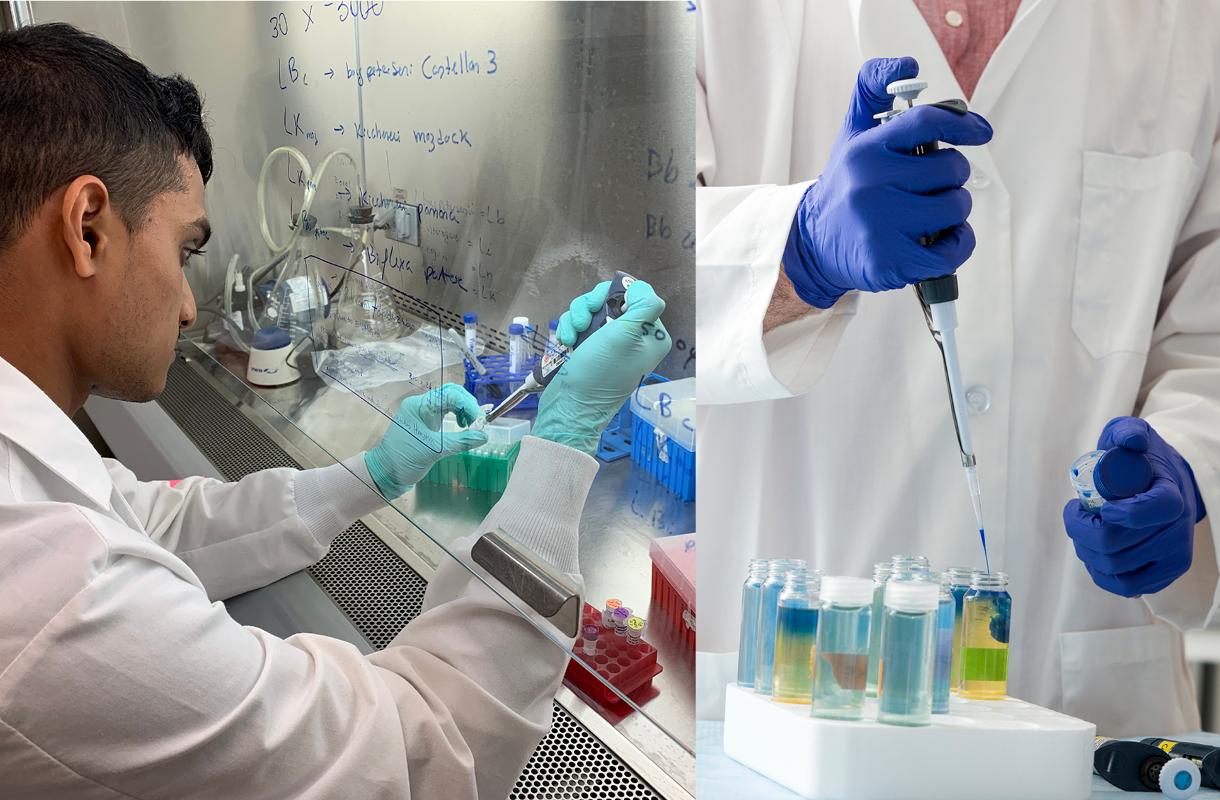 New Study Shows Less Than of Lyme Disease Test Results are