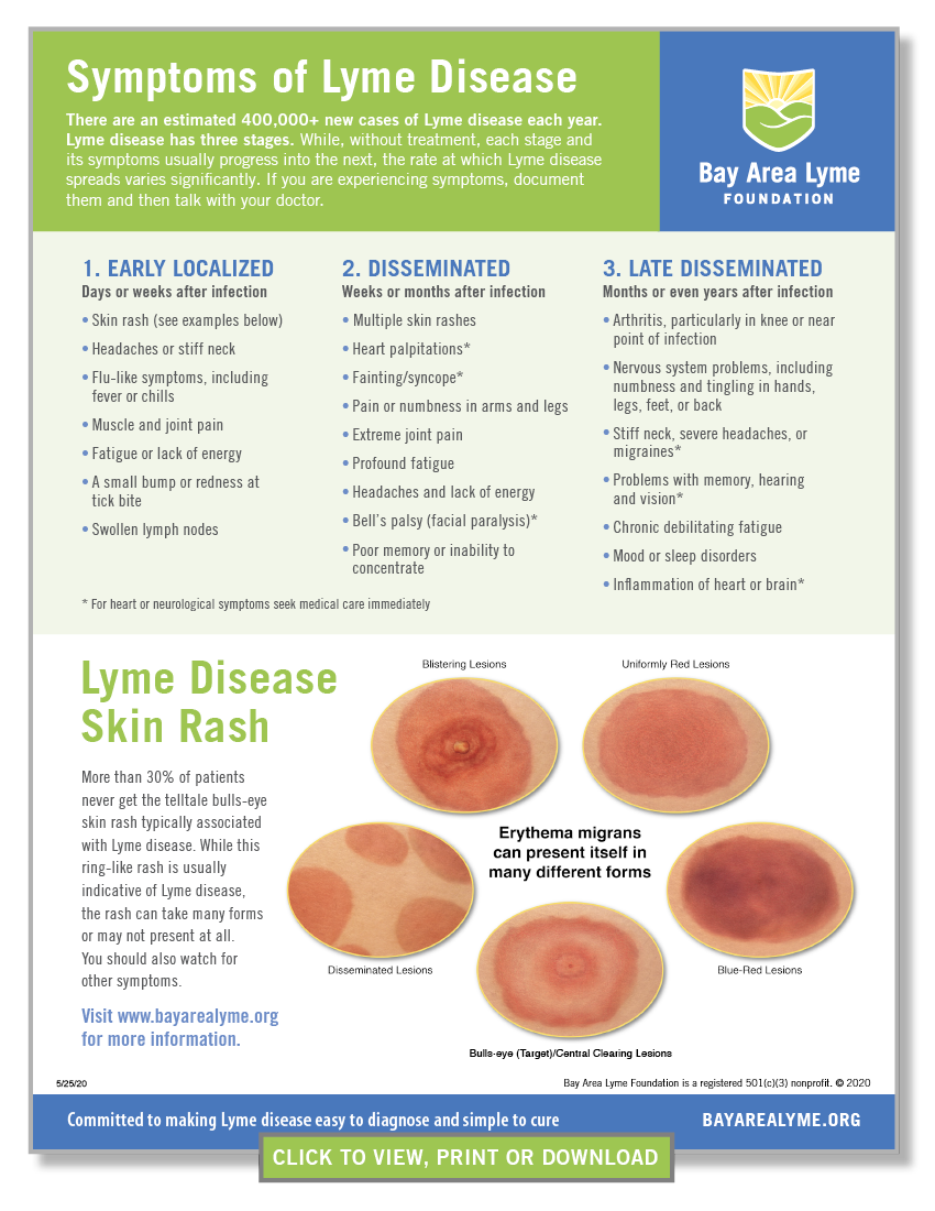 tick bite symptoms in adults