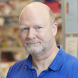 Michael P. Rout PhD, Bay Area Lyme Emerging Leader Award recipient