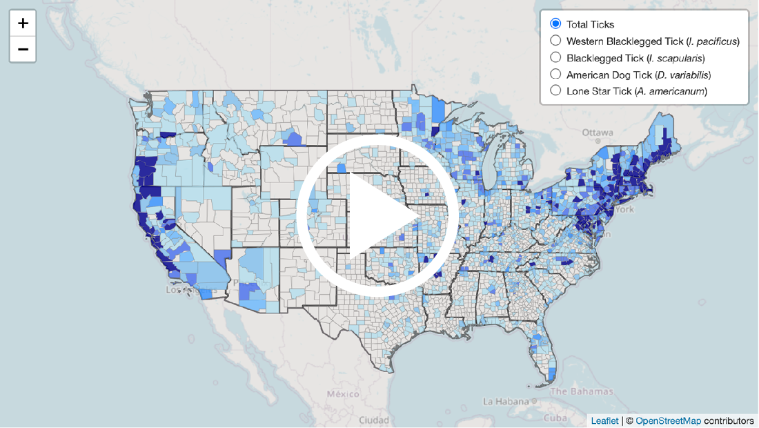 Bay Area Lyme Free Tick Testing Program map of tick species in the US