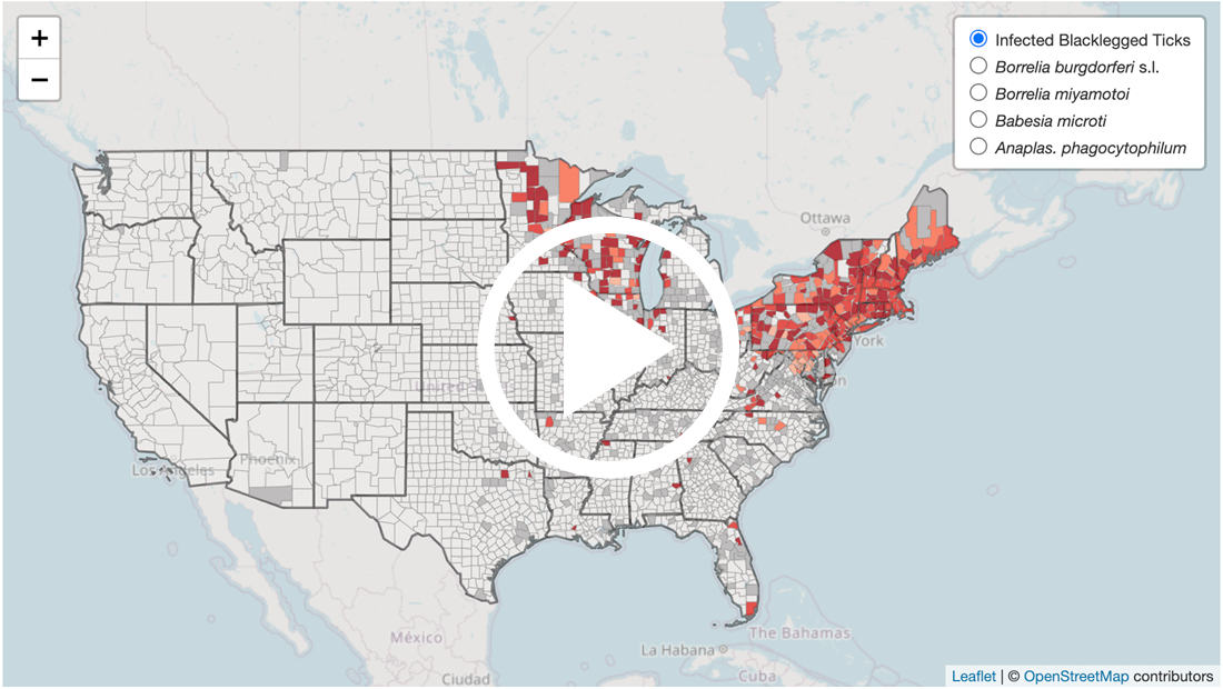 Bay Area Lyme Free Tick Testing Program map of eastern blacklegged ticks