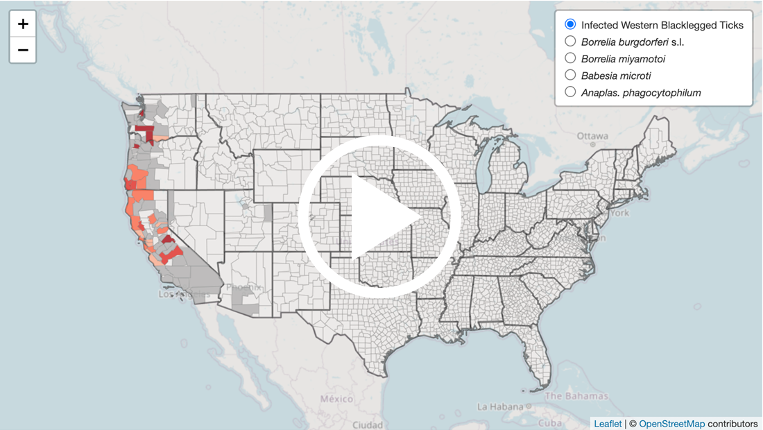 Bay Area Lyme Free Tick Testing Program map: where western blacklegged ticks are carrying disease-causing bacteria