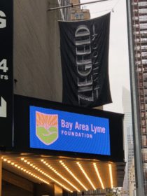 Bay Area Lyme and Project Lyme Gala 2018 at the Ziegfeld Theater