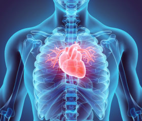 Cardiac impact of viral infections