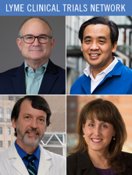 Directors of the Lyme Clinical Trials Network (clockwise from top left): John Aucott, MD, Johns Hopkins; Charles Chiu, MD/PhD, UCSF; Brian A. Fallon, MD/PhD, Columbia University; Roberta L. DeBiasi, MD/MS, Children's National Hospital 