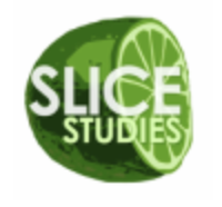 SLICE Studies
