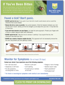 How to remove a tick flyer