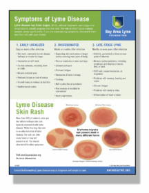 Lyme Symptoms Flyer