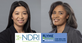NDRI