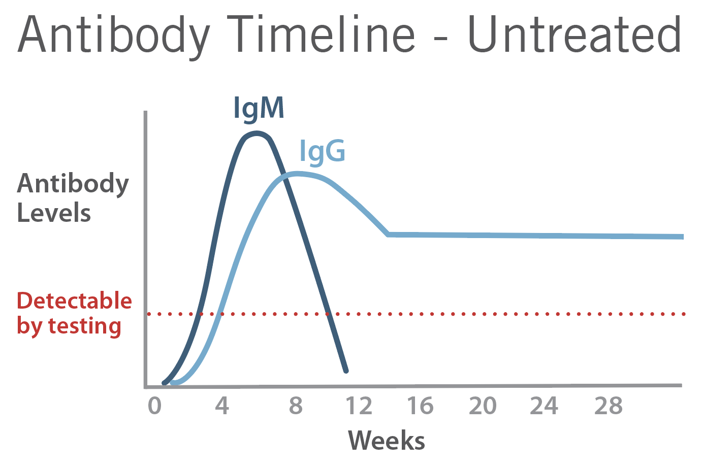 Antibody timeline